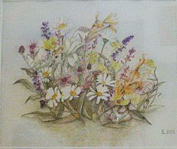 Blumen 2005
