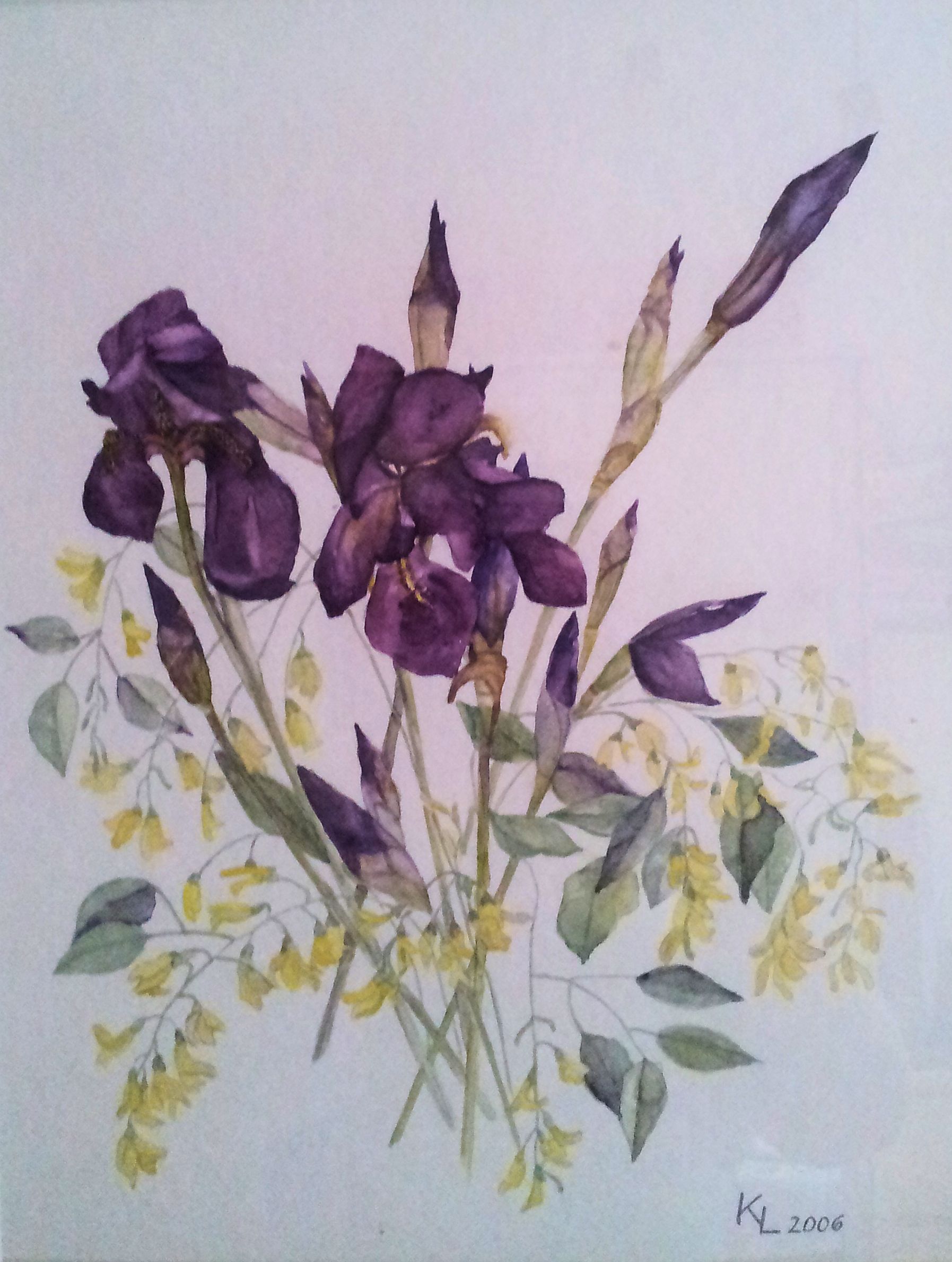 Blumen 2008 270 x 220 mm
