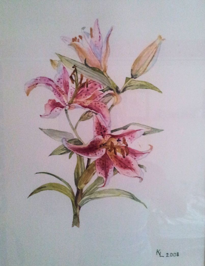 Blumen 2008